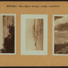 North (Hudson) River - Shore and Skyline - Manhattan - Battery - 14th Street.