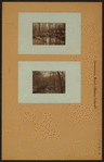 Simonson's Brook - Staten Island - [Village of Richmond.]