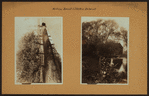 Willowbrook - Staten Island.