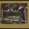 Cemeteries -- Cypress Hills