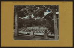 Cemeteries -- Cypress Hills