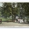 The Long Walk, Boston Common, Boston, Mass.