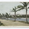 Hotel Royal Palm from Picknill's Point, Miami, Fla.