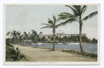Hotel Royal Palm from Picknill's Point, Miami, Fla.