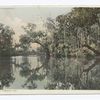 On the Tomoka, Florida