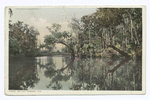 On the Tomoka, Florida