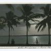 Moonlight at Palm Beach, Palm Beach, Fla.