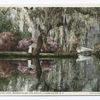 Across the Lake, Magnolia on the Ashley, Charleston, S. C.