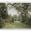 Green Drive, Hotel Champlain, Bluff Point, N. Y.