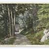 Split Rock Road, Burlington, Vt.