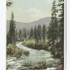 South Fork, Merced River, Wawona, Calif.