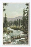 South Fork, Merced River, Wawona, Calif.