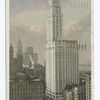Woolworth Building, New York, N. Y.