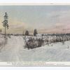 Snow Scene