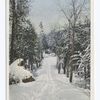 Snow Scene