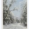 Snow Scene