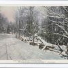 Snow Scene