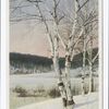 Snow Scene