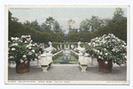 Bellefontaine, The Lily Pond, Lenox, Mass.