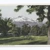Snow and Oranges, California