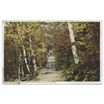 Path to Camp Iroquois, Glen Eyrie, Lake Geroge, N. Y.