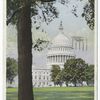 A Glimpse of the Capitol Dome, Washington, D. C.