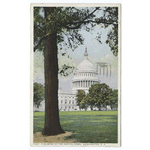 A Glimpse of the Capitol Dome, Washington, D. C.