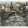 Weighing up a Catch, Gloucester, Mass.