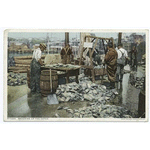 Weighing up a Catch, Gloucester, Mass.