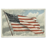 Old Glory, Flag