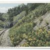 Mason Tunnel on the C. & O. R. R., Virginia