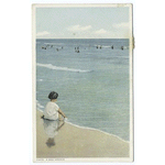 A Sea Urchin, Beach
