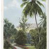 In the Grounds, Royal Poinciana, Palm Beach, Fla.