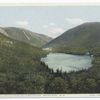 Franconia Notch from Bald Mountain, White Mountains, N. H.