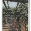 American Garden H (or New England)
