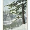 The First Snow, Scenic