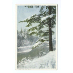 The First Snow, Scenic
