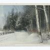 North Woods in Winter, Scenic