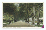 Marengo Avenue, Pasadena, Calif.