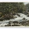 An Adirondack Mt. Stream