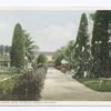 Garden Scenes, Hotel Colonial, Nassau, Bahamas