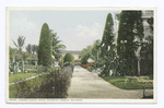 Garden Scenes, Hotel Colonial, Nassau, Bahamas