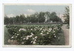 Entrance to Maplewood Park, Rochester, N. Y.