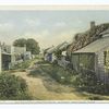 Center Street, Looking South, "Sconset", Nantucket, Mass.