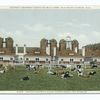 Twelve Gigantic Silos Tower above the Stables, Detroit Creamery Certified Milk Farm, near Mt. Clemens, Mich.