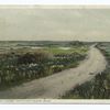 Madaket Moore (roadway on right), Nantucket Island, Mass.