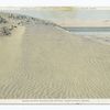 Sand Dunes along the Shore, Nantucket, Mass.