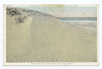 Sand Dunes along the Shore, Nantucket, Mass.