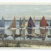 Rainbow Fleet Becalmed, Nantucket, Mass.