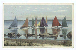 Rainbow Fleet Becalmed, Nantucket, Mass.